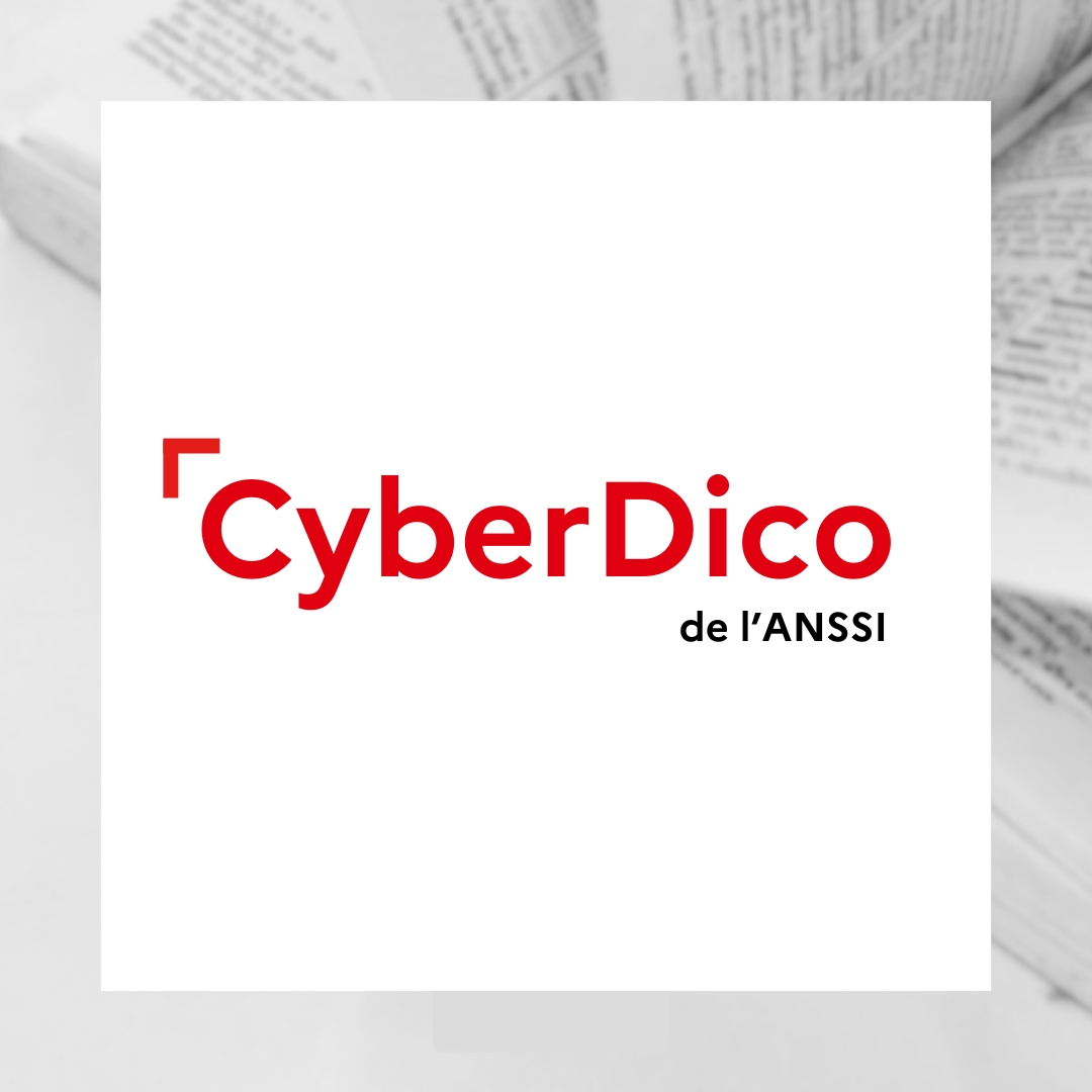CYBERDICO_publication_site_web.jpg